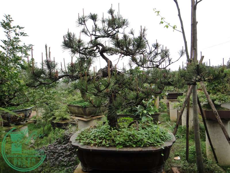2014.4.8.JPG
