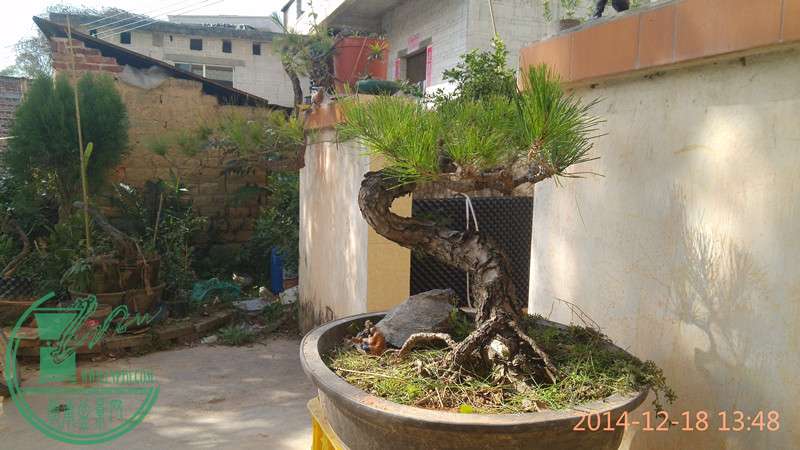 IMG_20141218_134852_.jpg