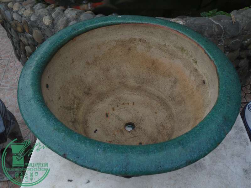 P1200824.JPG