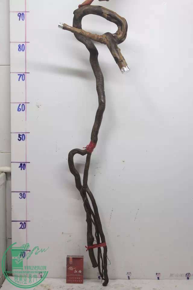 psb (4).jpg