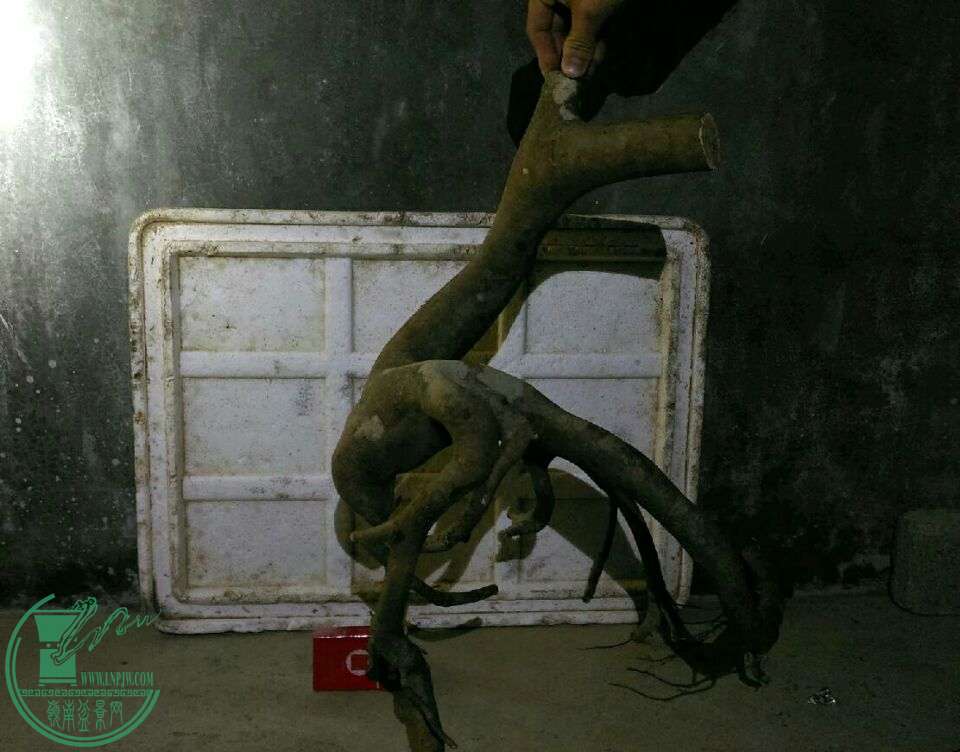 3dd4b39c6d25eea1.jpg