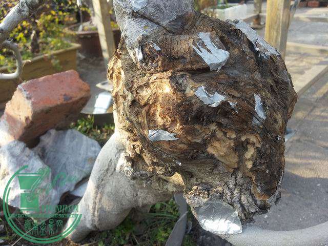 С 20150121_160437.jpg