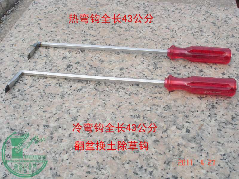 辰10.jpg