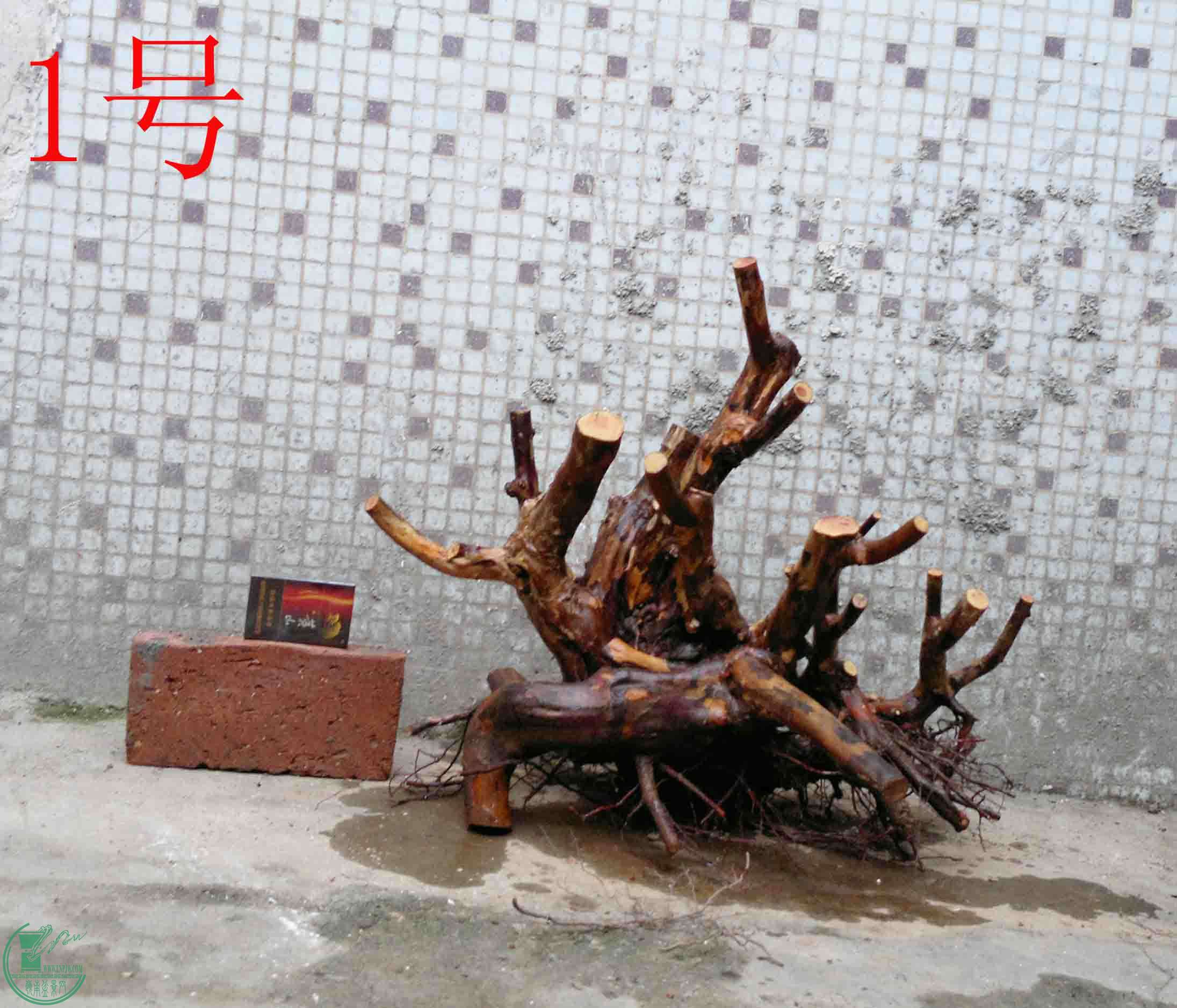 201501211448.jpg