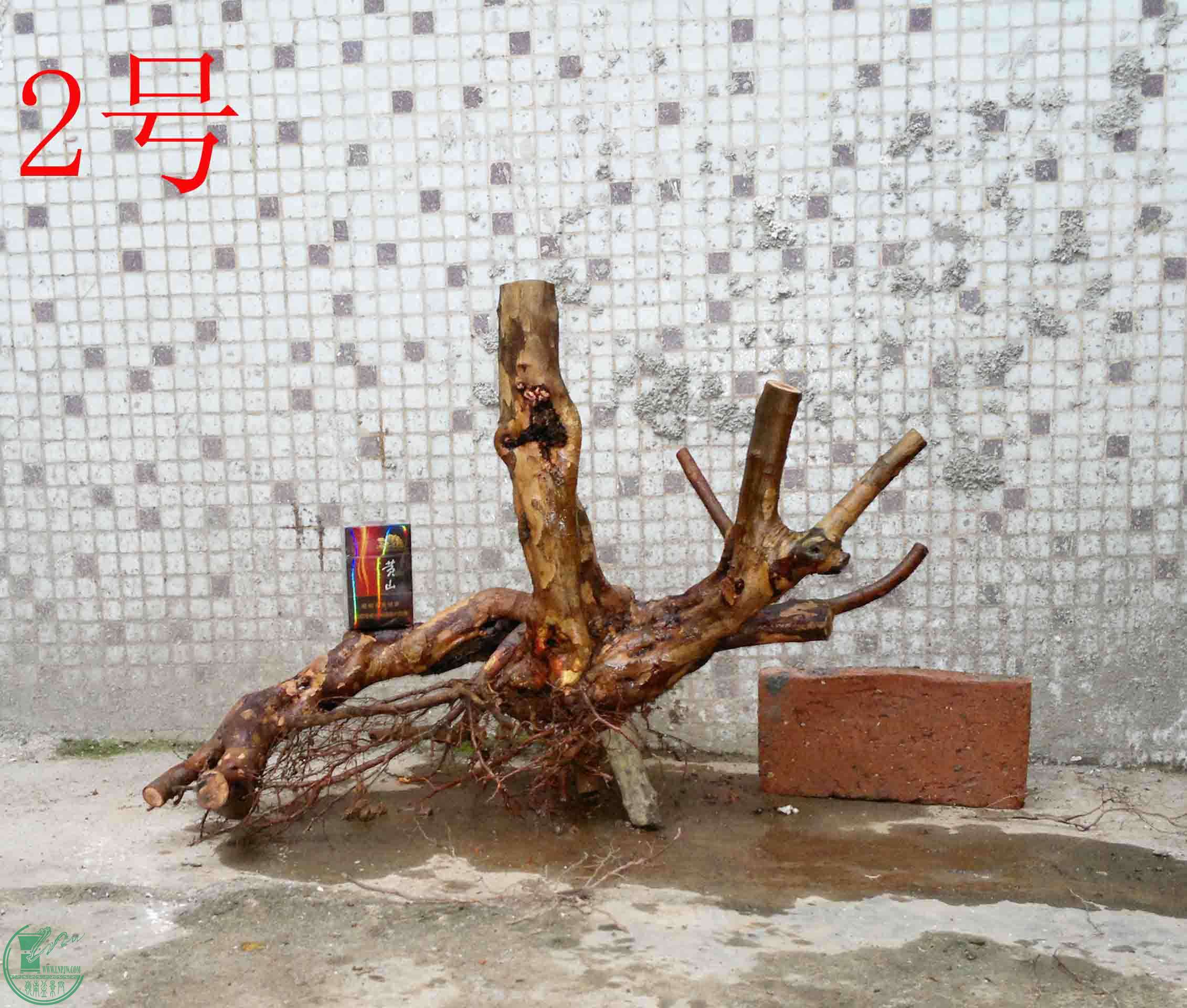 201501211472.jpg