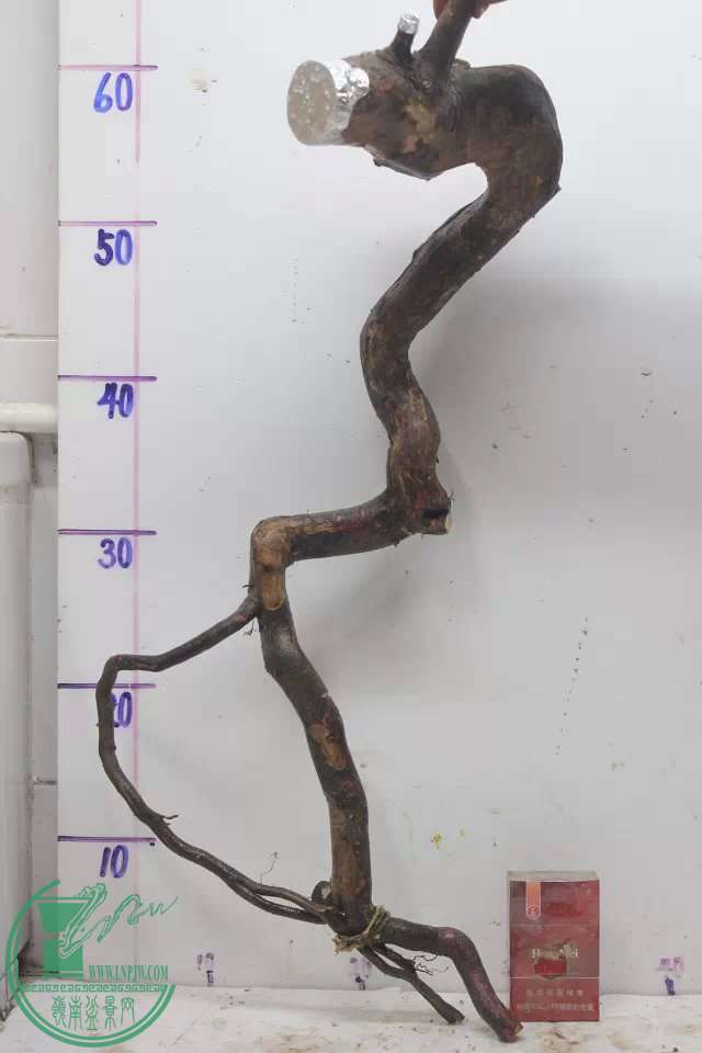 psb (8).jpg