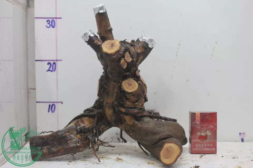 psb (10).jpg