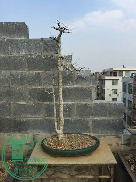 QQͼƬ20150122224534.jpg