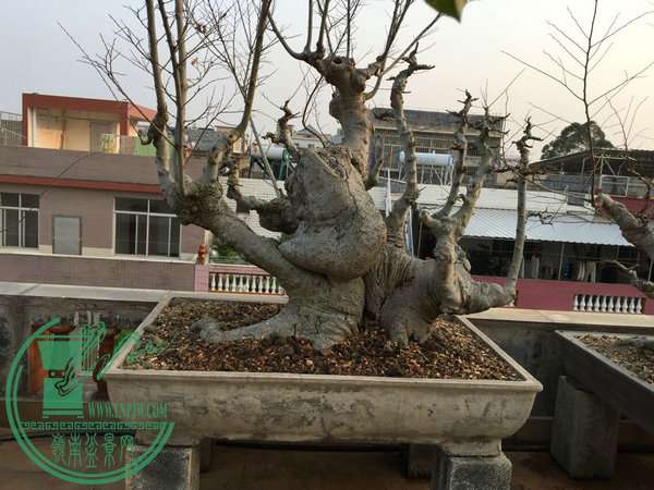 QQͼƬ20150122224410.jpg