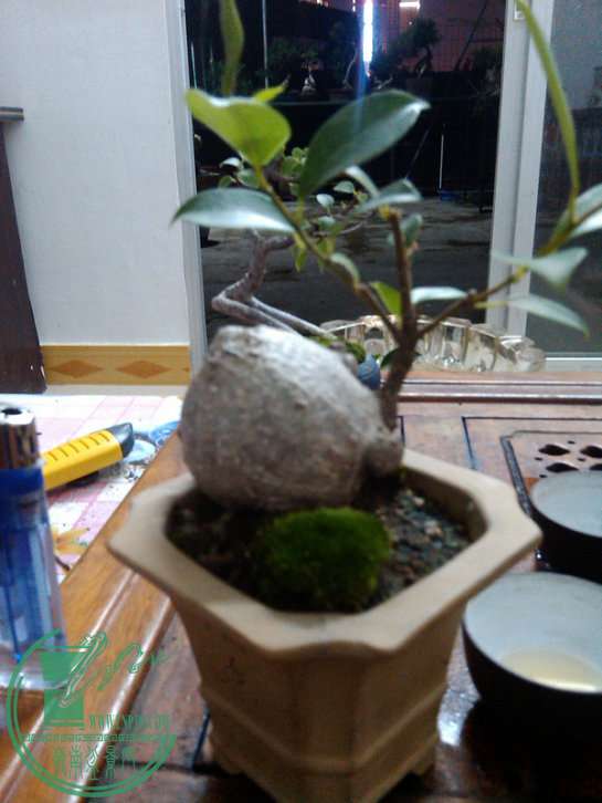 microMsg.1414059417247.jpg