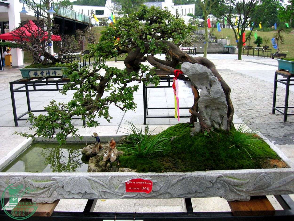Ƭ 030.jpg