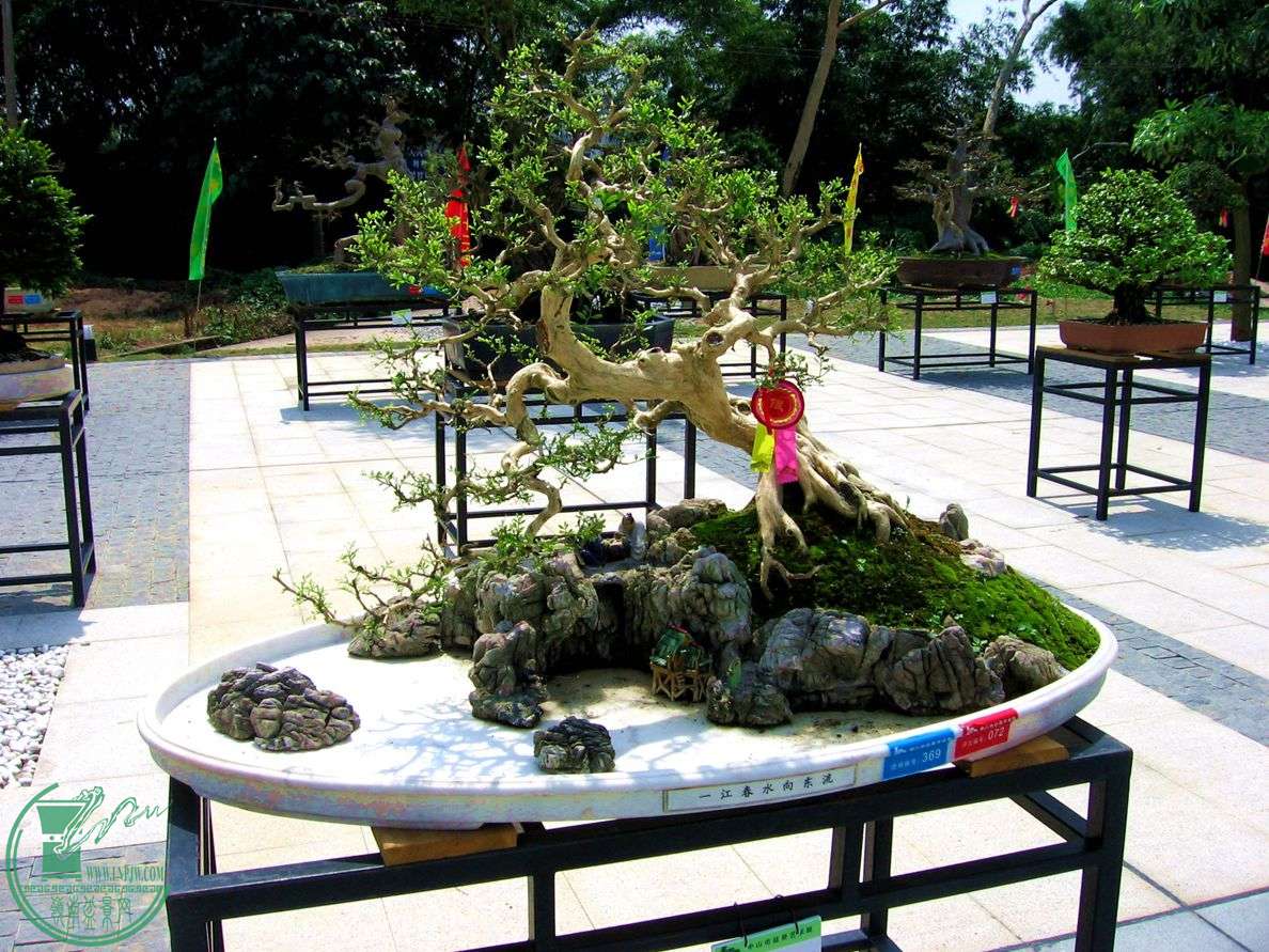 Ƭ 019.jpg