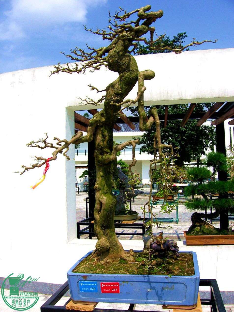 Ƭ 027.jpg