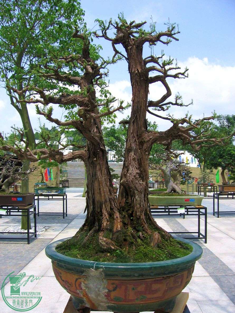Ƭ 016.jpg