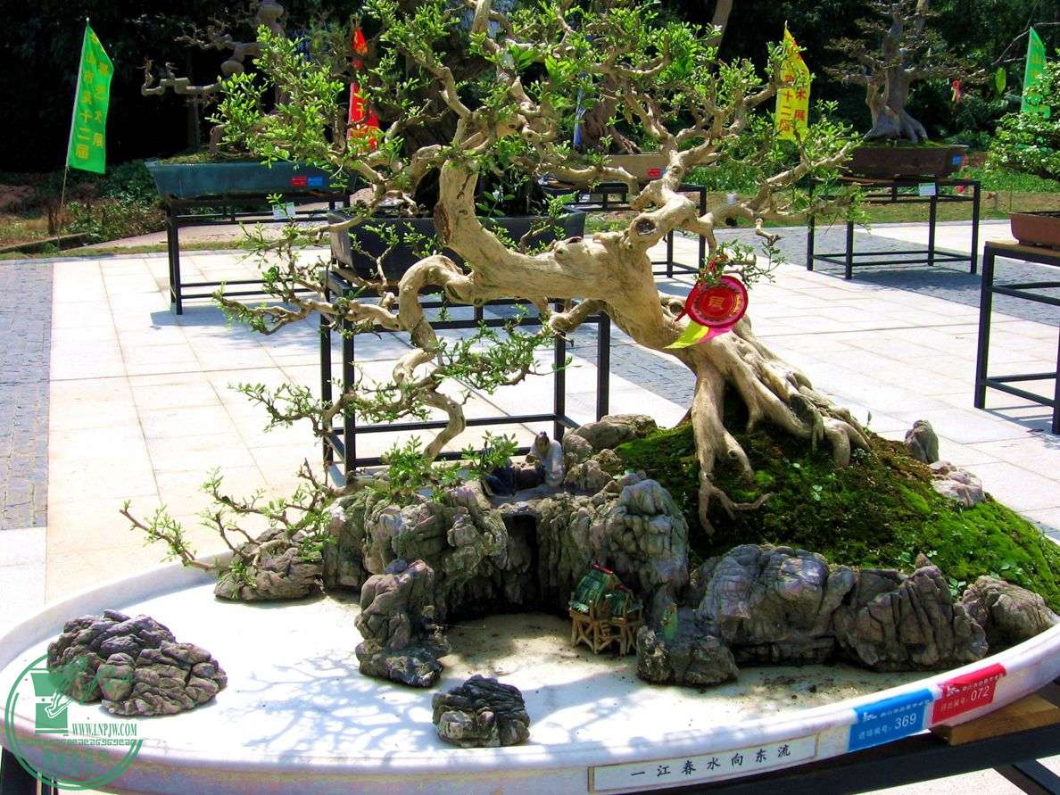 Ƭ 020.jpg