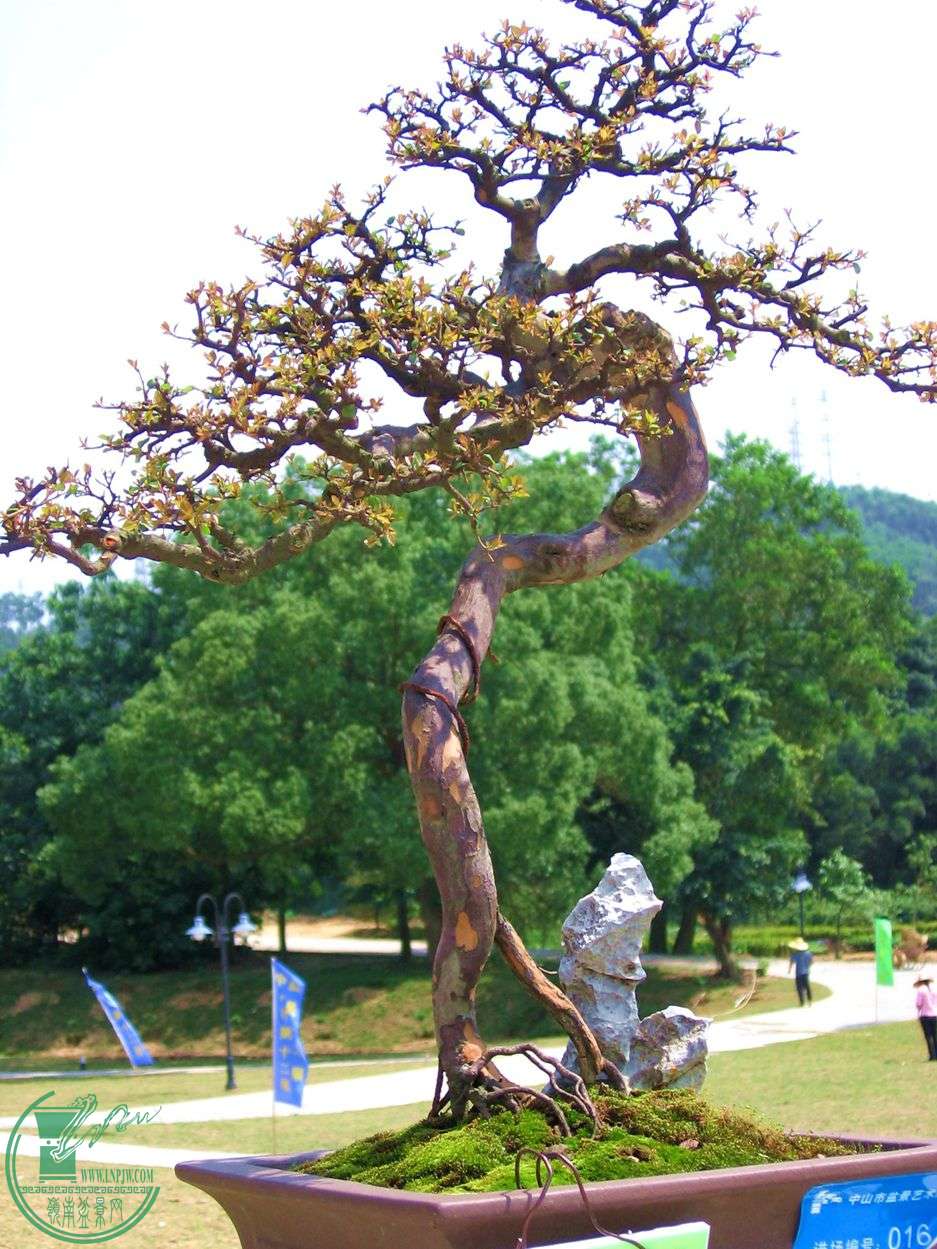 Ƭ 024.jpg