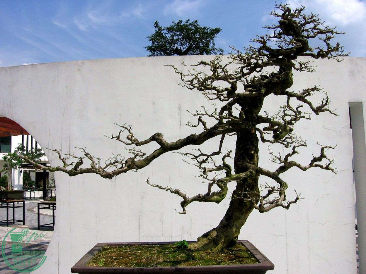 Ƭ 028.jpg