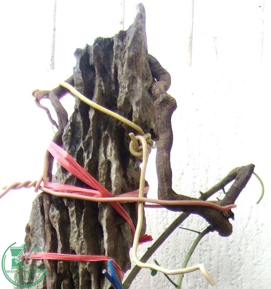 DSCF5837.JPG