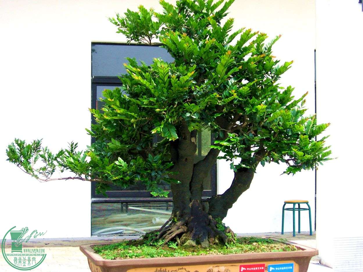 Ƭ 029.jpg