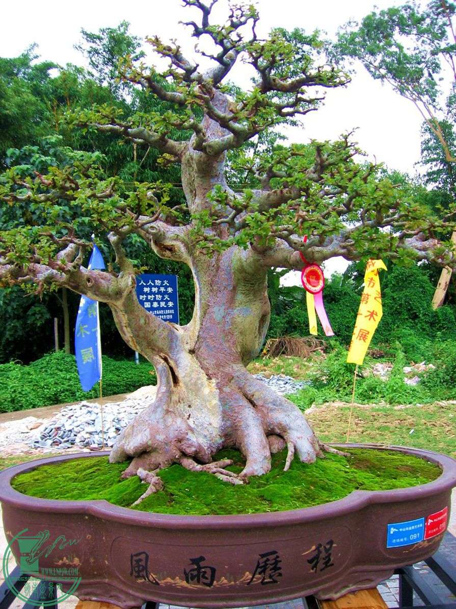 Ƭ 032.jpg