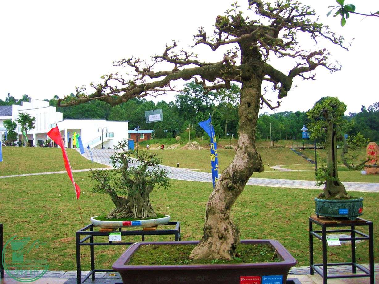 Ƭ 035.jpg