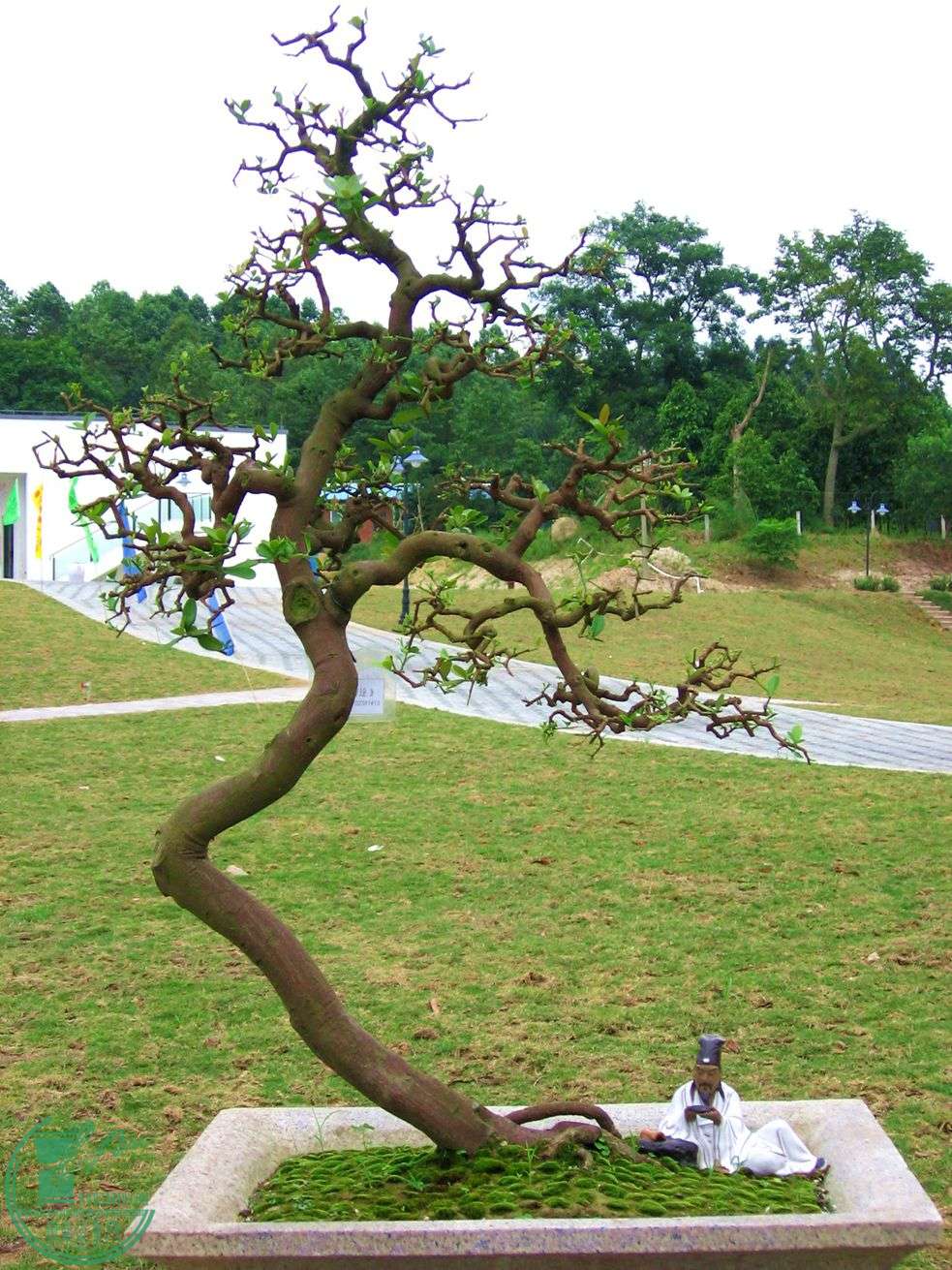 Ƭ 036.jpg
