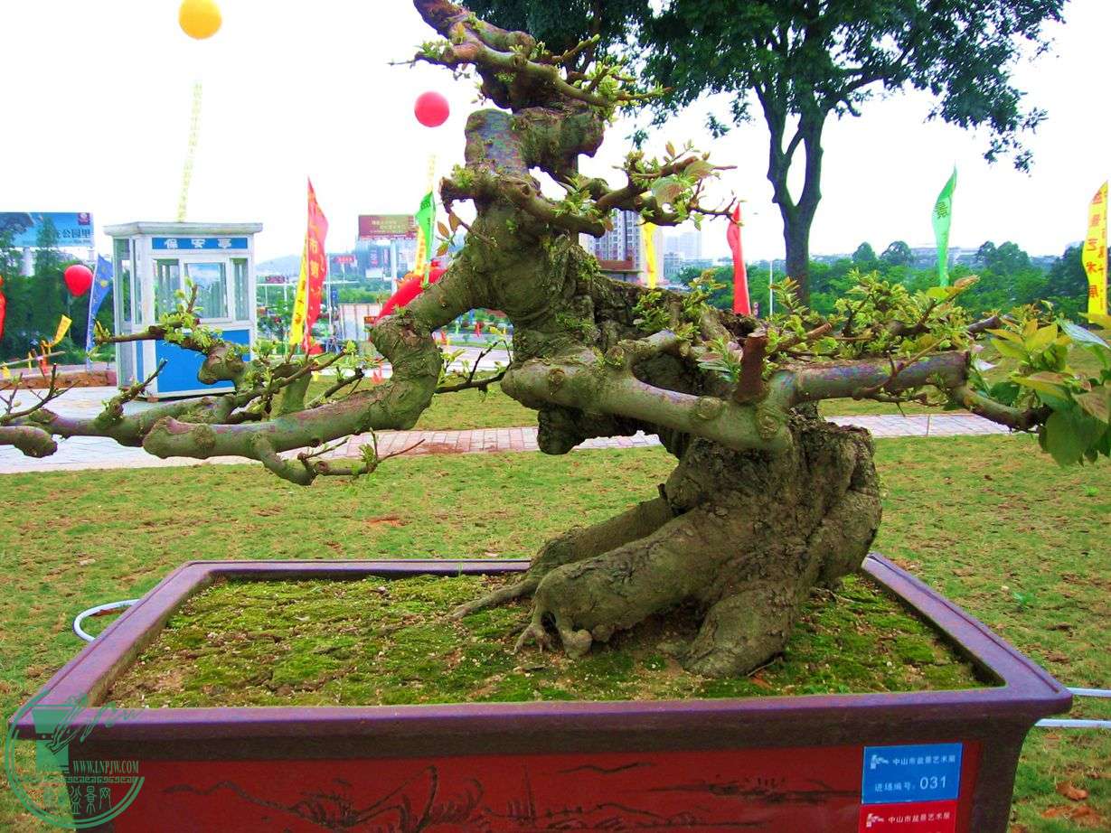 Ƭ 041.jpg