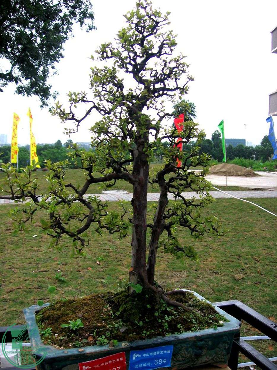 Ƭ 042.jpg
