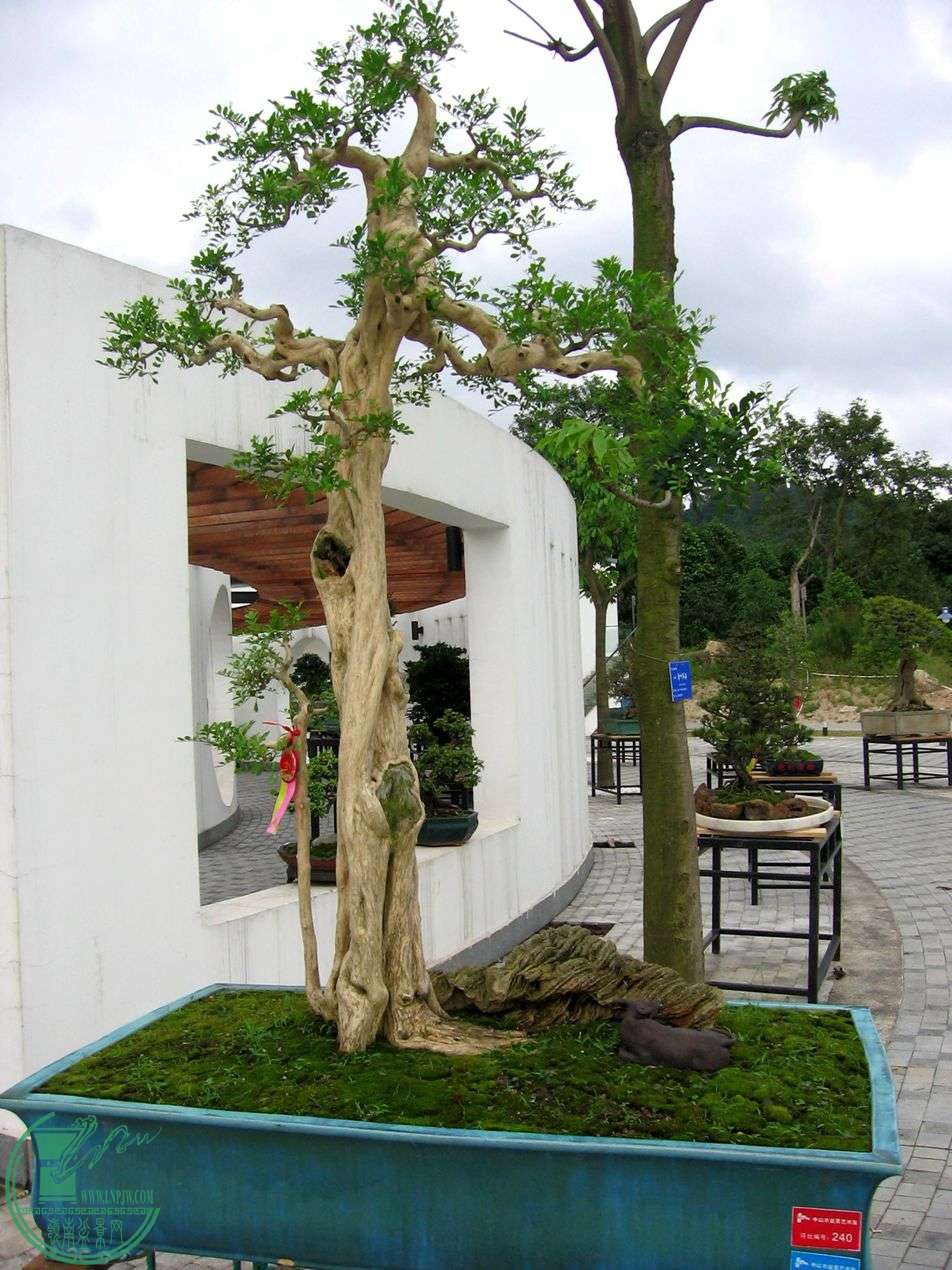 Ƭ 044.jpg