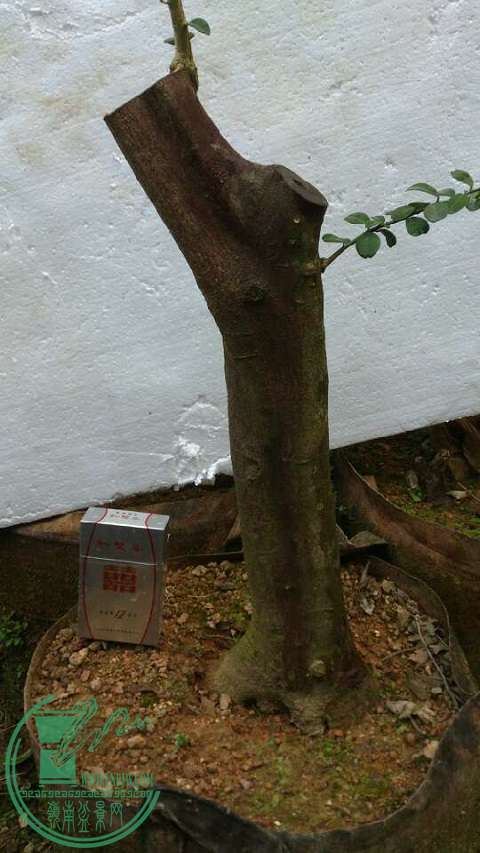 bc004ac835099cc.jpg