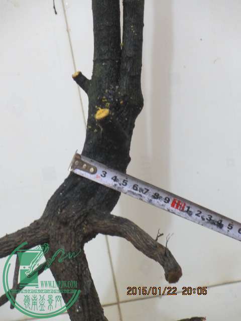 IMG_5280.JPG