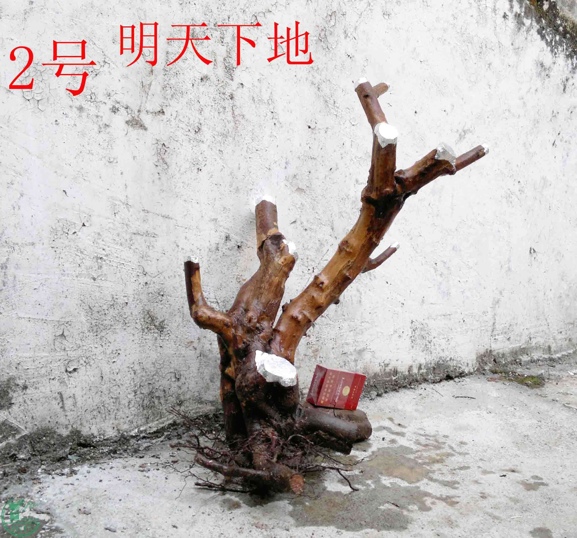 201501231568.jpg