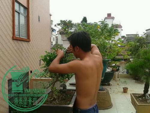 O_T(H~G12`2XT3ECN(QJK~2_СС.jpg