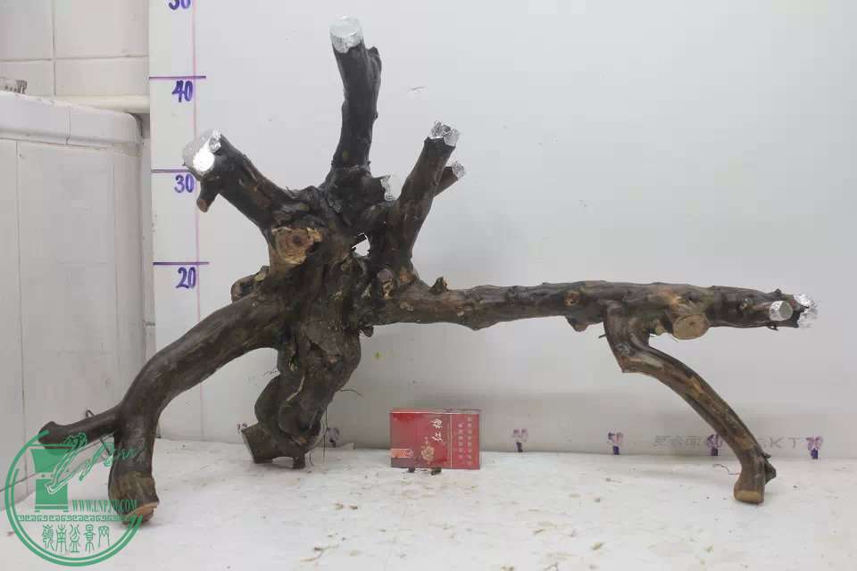 psb (2).jpg