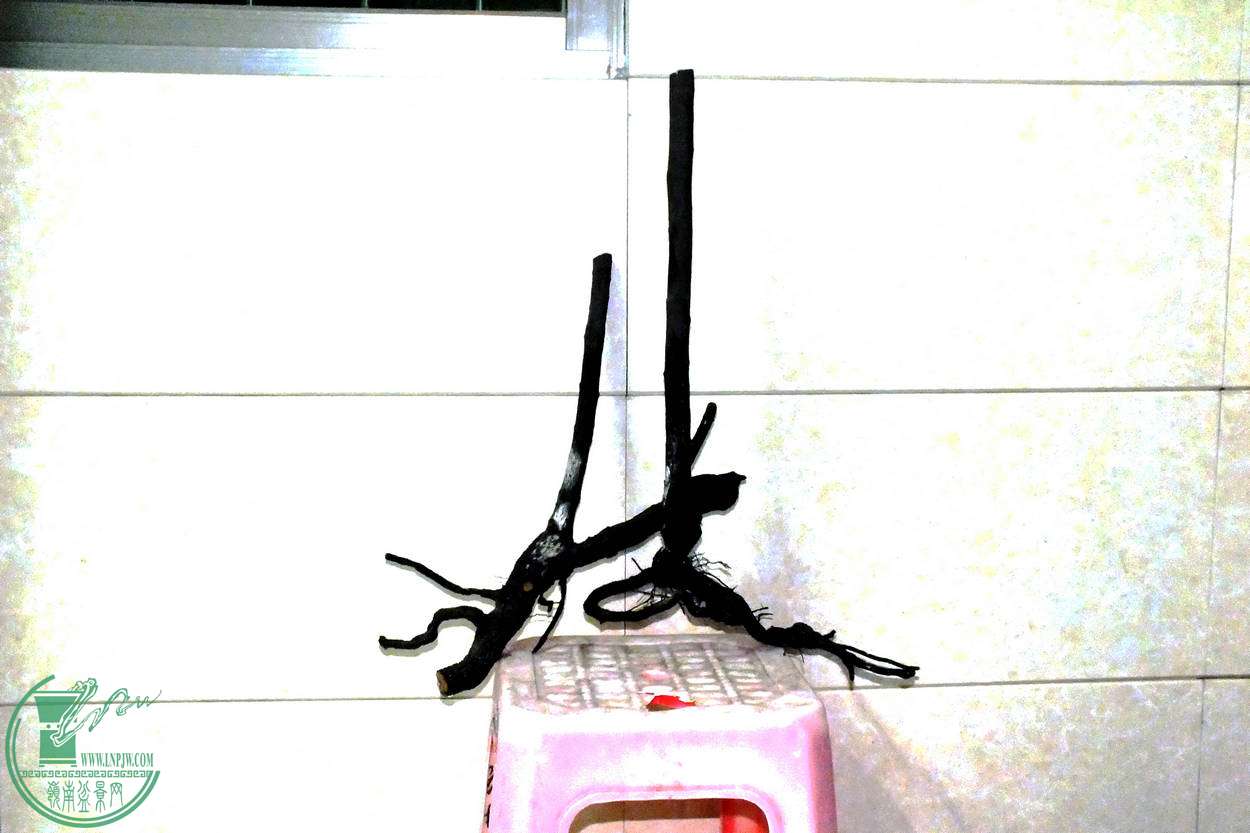 001.JPG