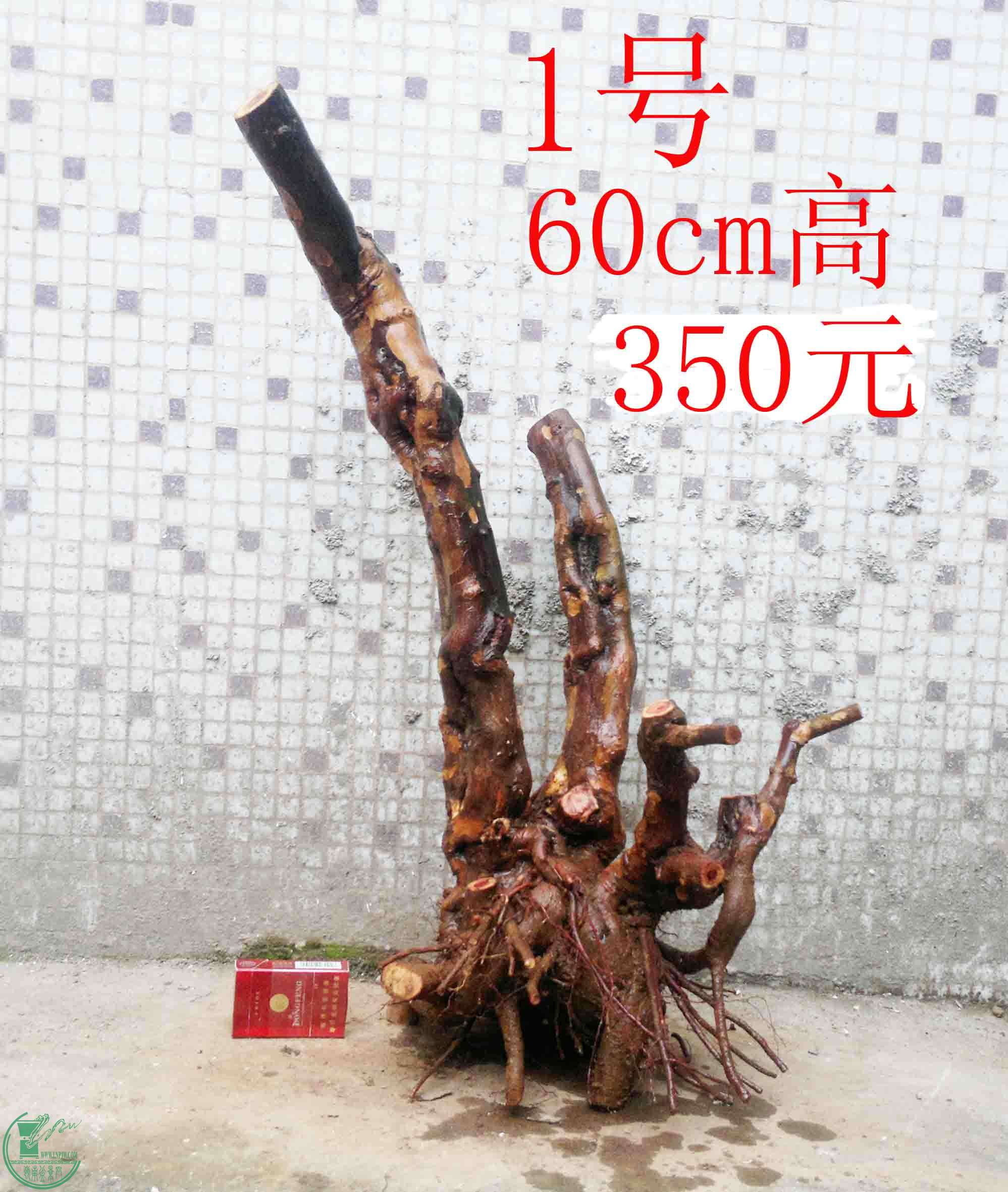 201501251600.jpg