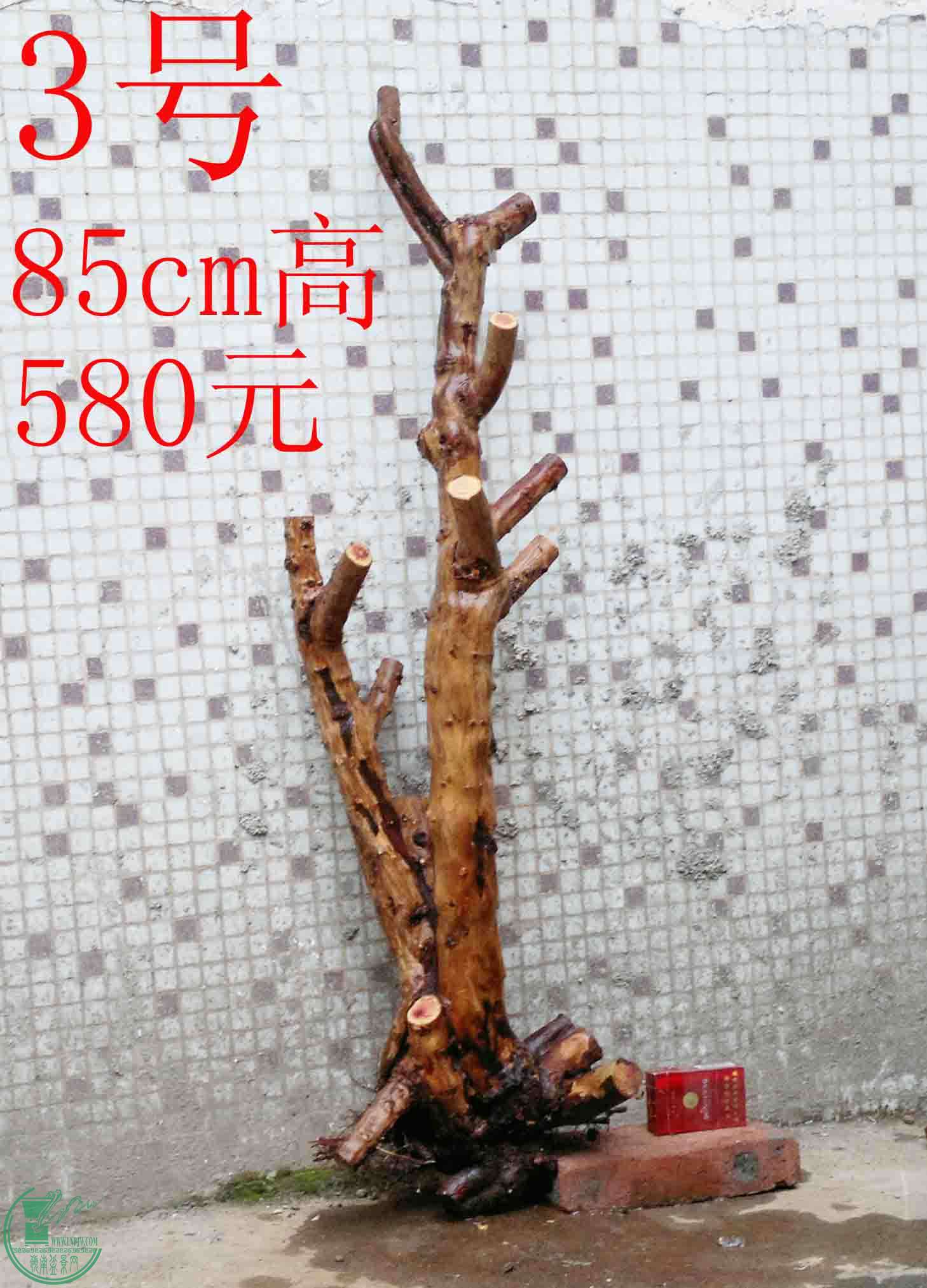 201501251628.jpg