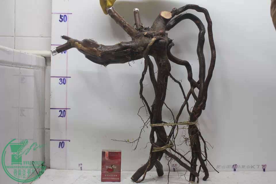 psb (3).jpg