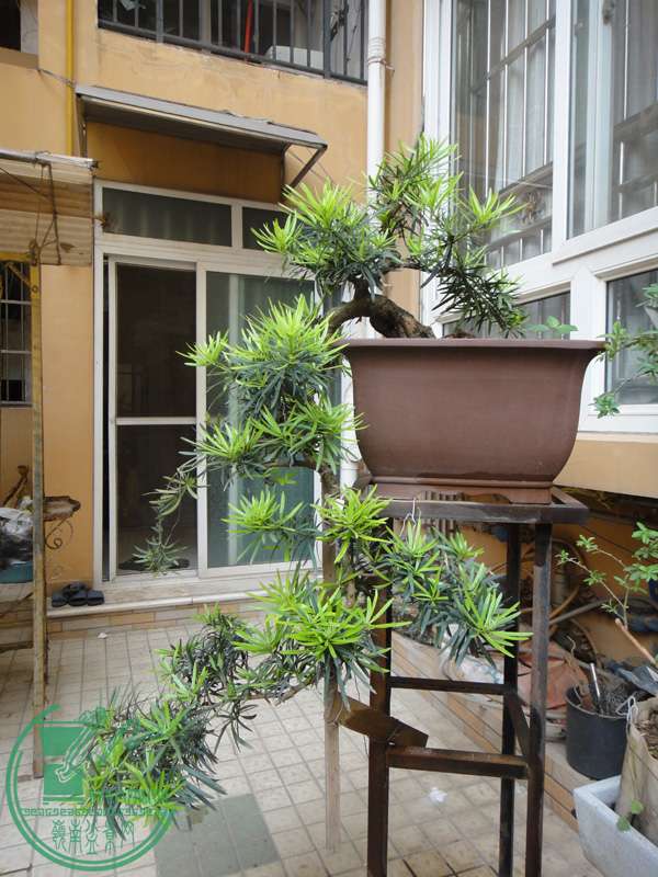 2014.5.1.JPG