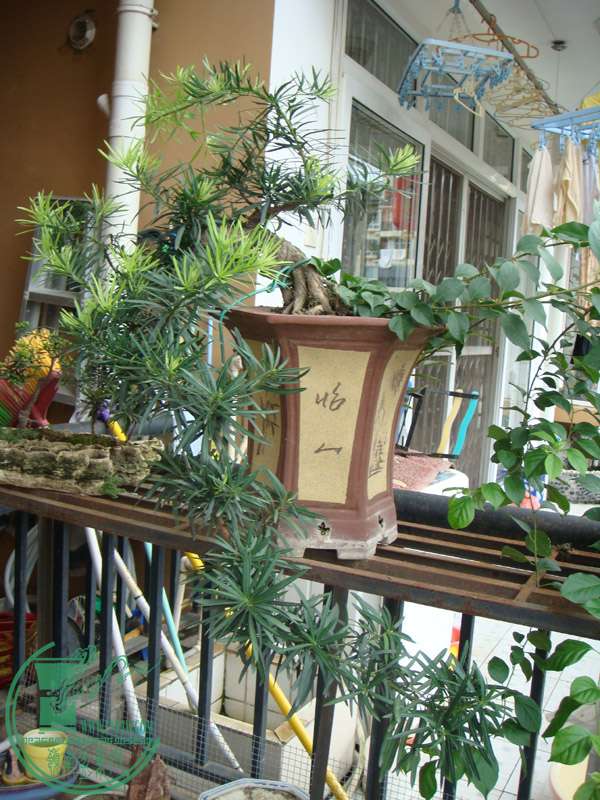2008.6.21.JPG