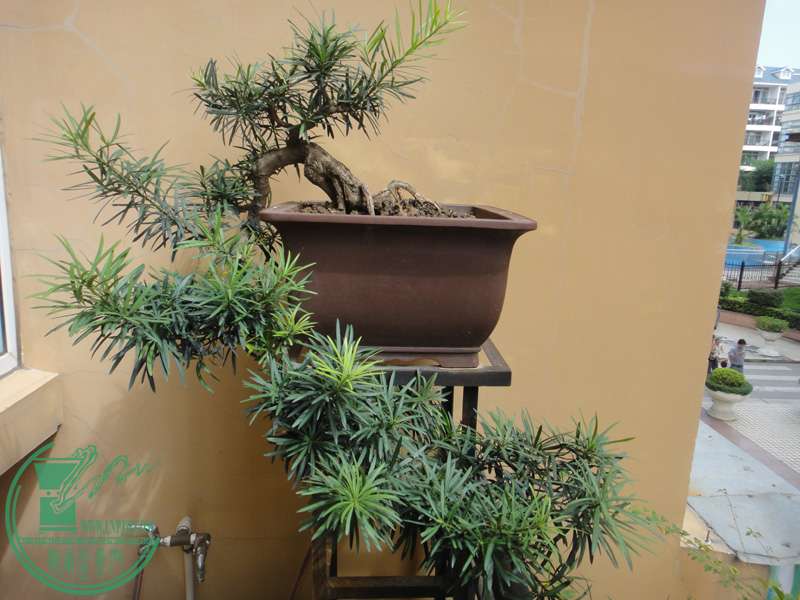 2011.9.12.JPG