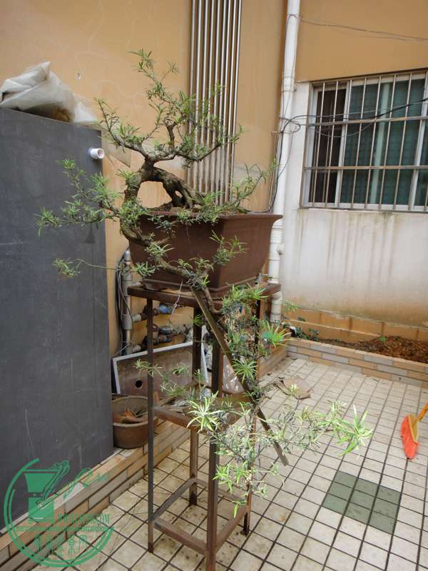 2014.8.30c.JPG