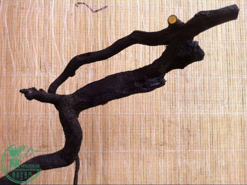 QQͼƬ20150126212733.jpg
