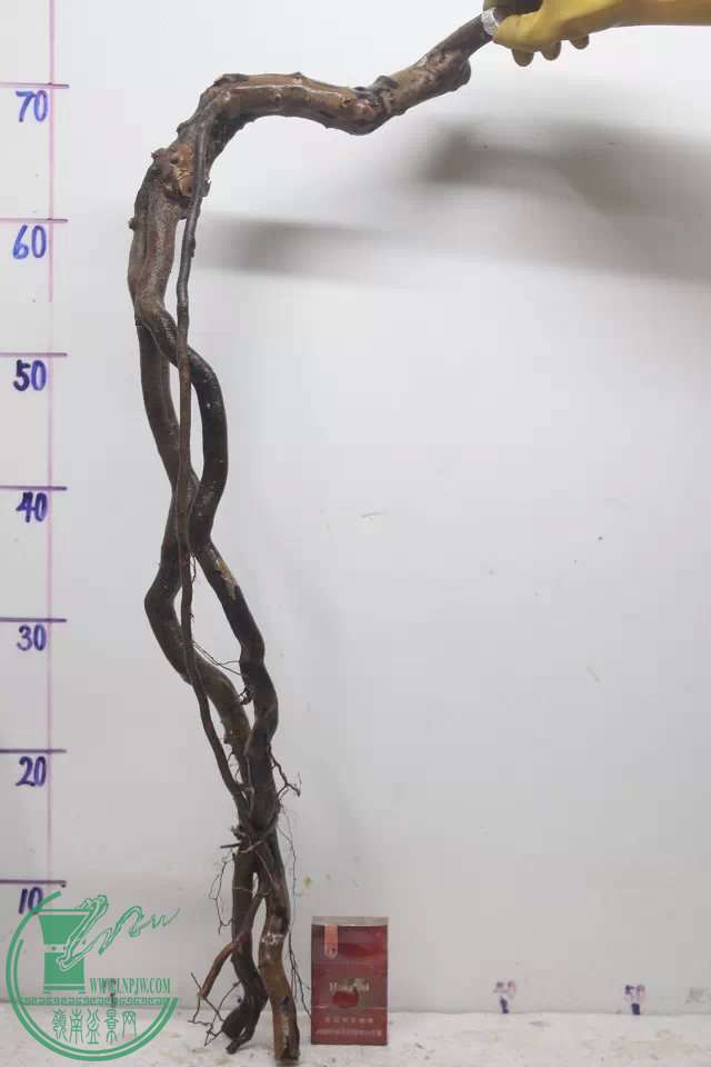 psb (2).jpg