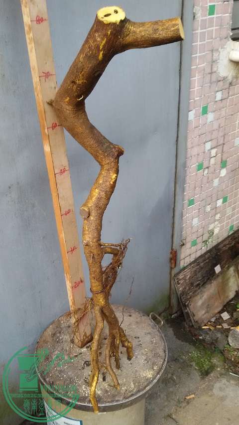 20150127_154356.jpg