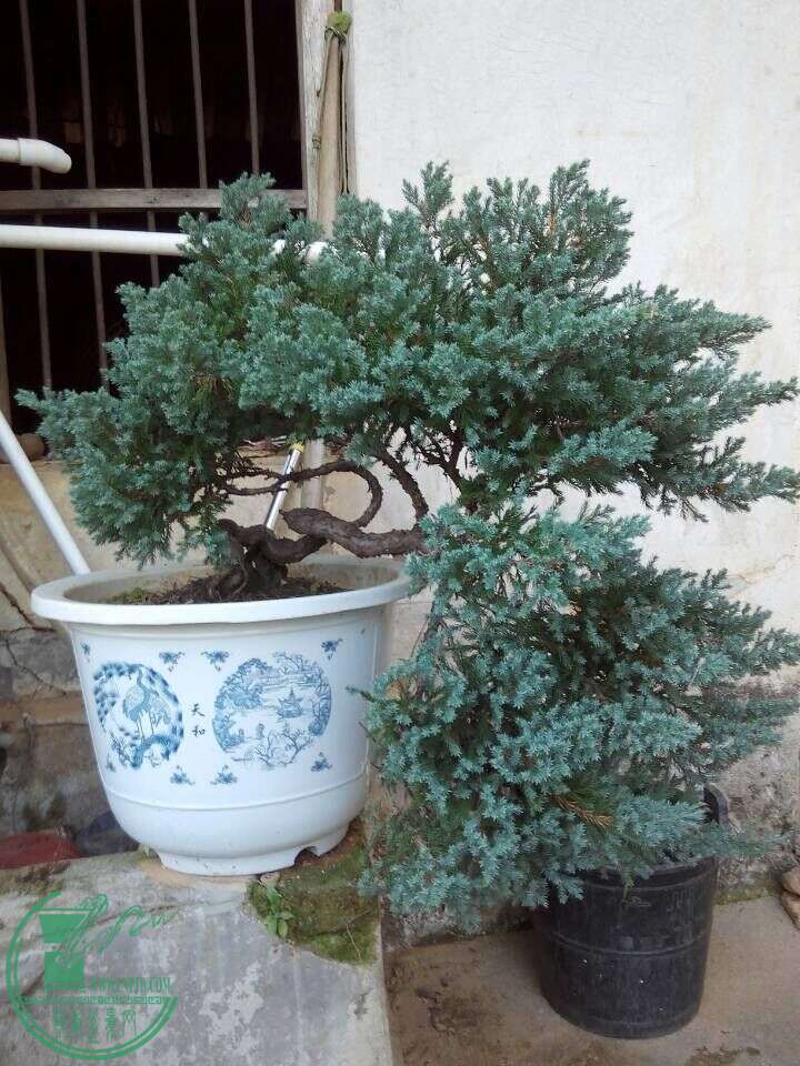 QQͼƬ20150127170941.jpg
