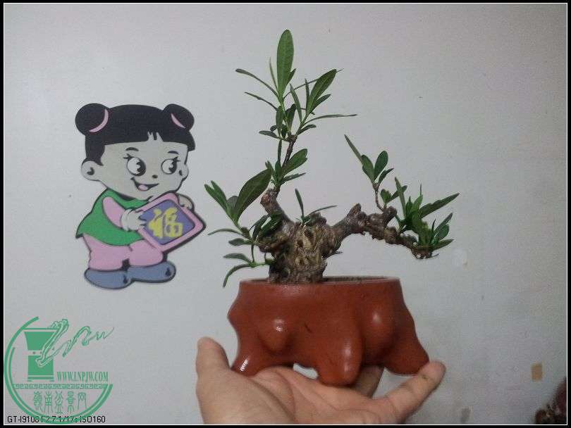΢ˮ֦1.jpg