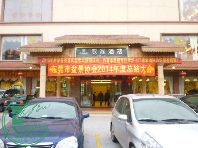 P1080122.JPG