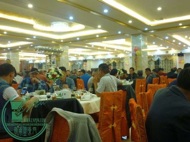 P1080129.JPG