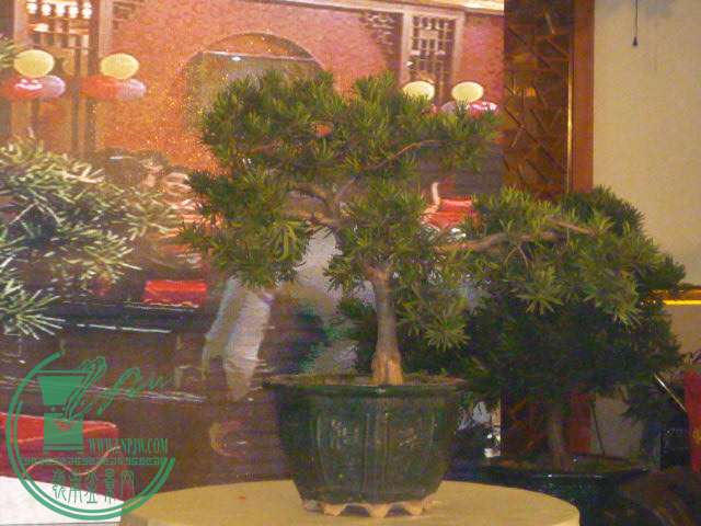 P1080146.JPG